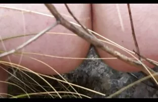 XXX زن خانه دار کلیپ سکس خشن با لوله کش رابطه جنسی دارد